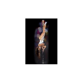 Palo Lap Dance - Light Up Disco Dance Pole